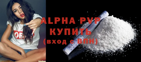 хмурый Нестеровская