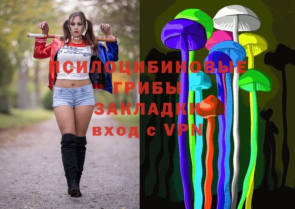 герыч Пестово