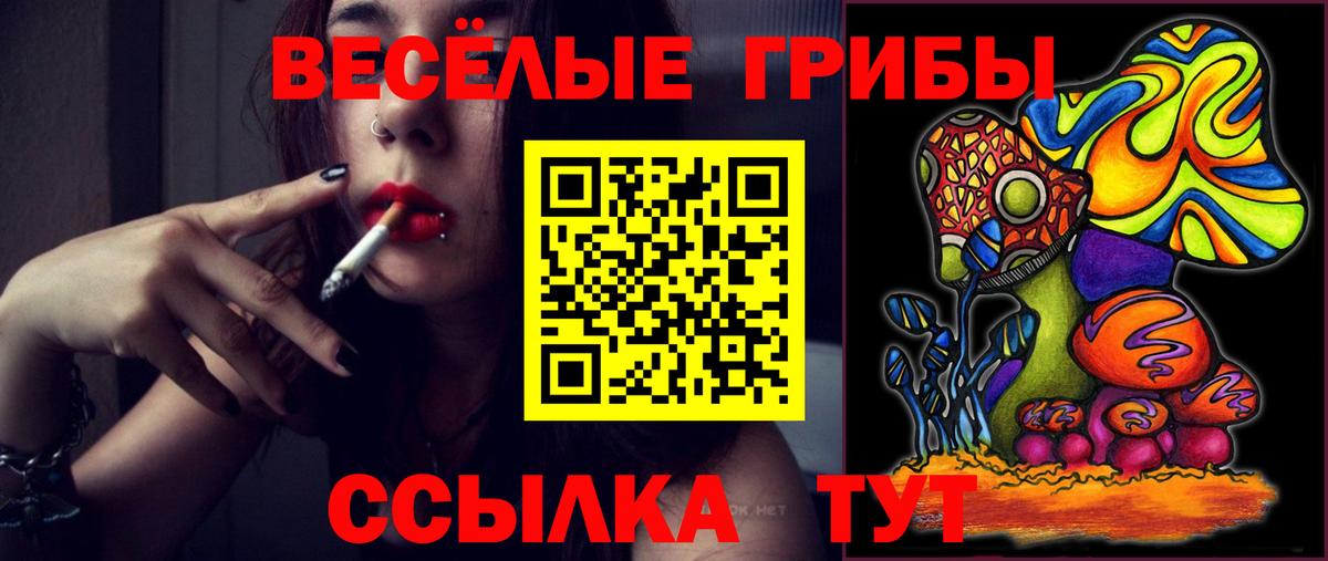 купить наркотики цена  Балахна  Галлюциногенные грибы мухоморы  Галлюциногенные грибы мицелий 